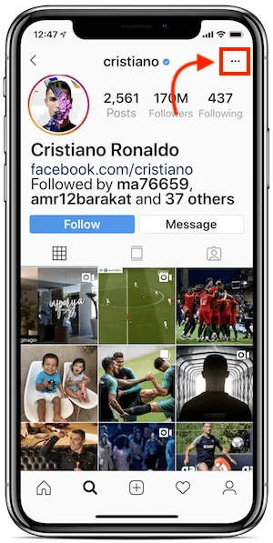 descargar foto perfil instagram